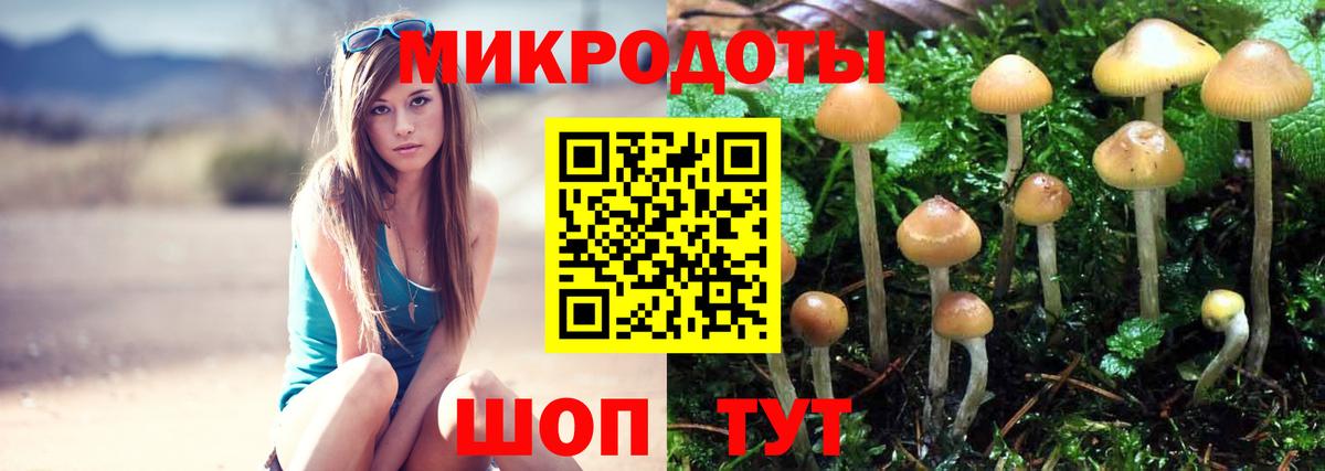 купить закладку  Вход с VPN  Троицк  Галлюциногенные грибы мухоморы 